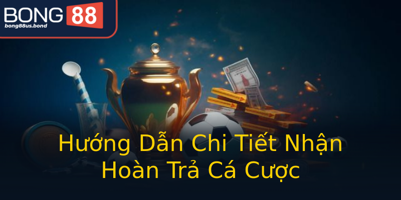 Hướng Dẫn Chi Tiết Nhận Hoàn Trả Cá Cược Hướng Dẫn Chi Tiết Nhận Hoàn Trả Cá Cược