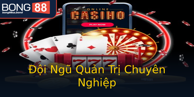 Đội Ngũ Quản Trị Chuyên Nghiệp Đội Ngũ Quản Trị Chuyên Nghiệp